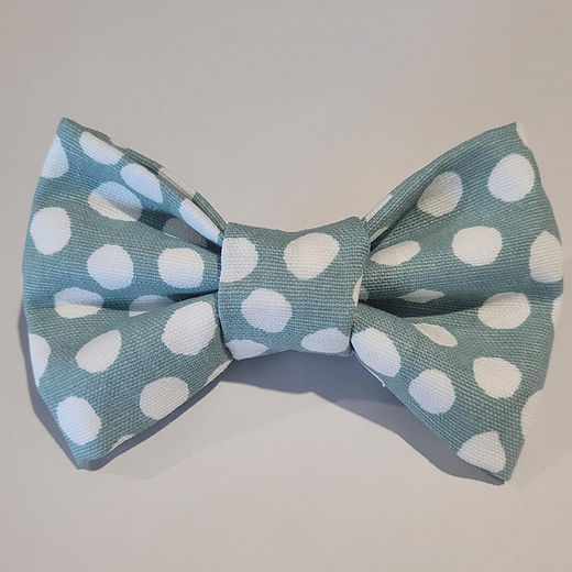 Sage Bowtie