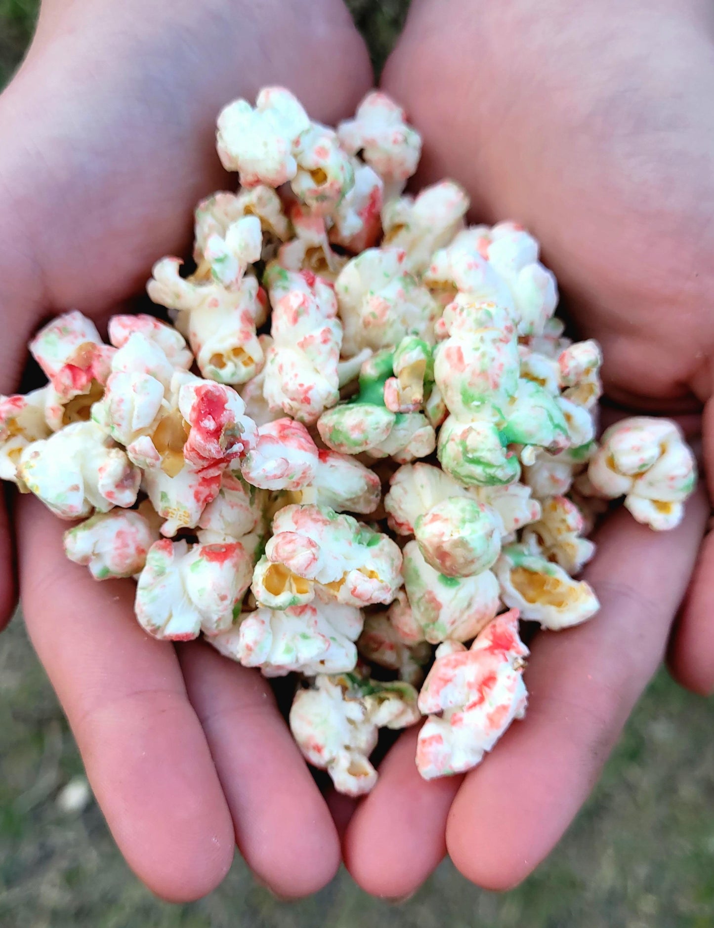 Christmas Doggie Popcorn