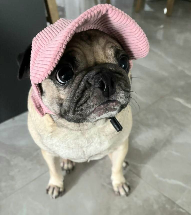 Doggie Cord Cap