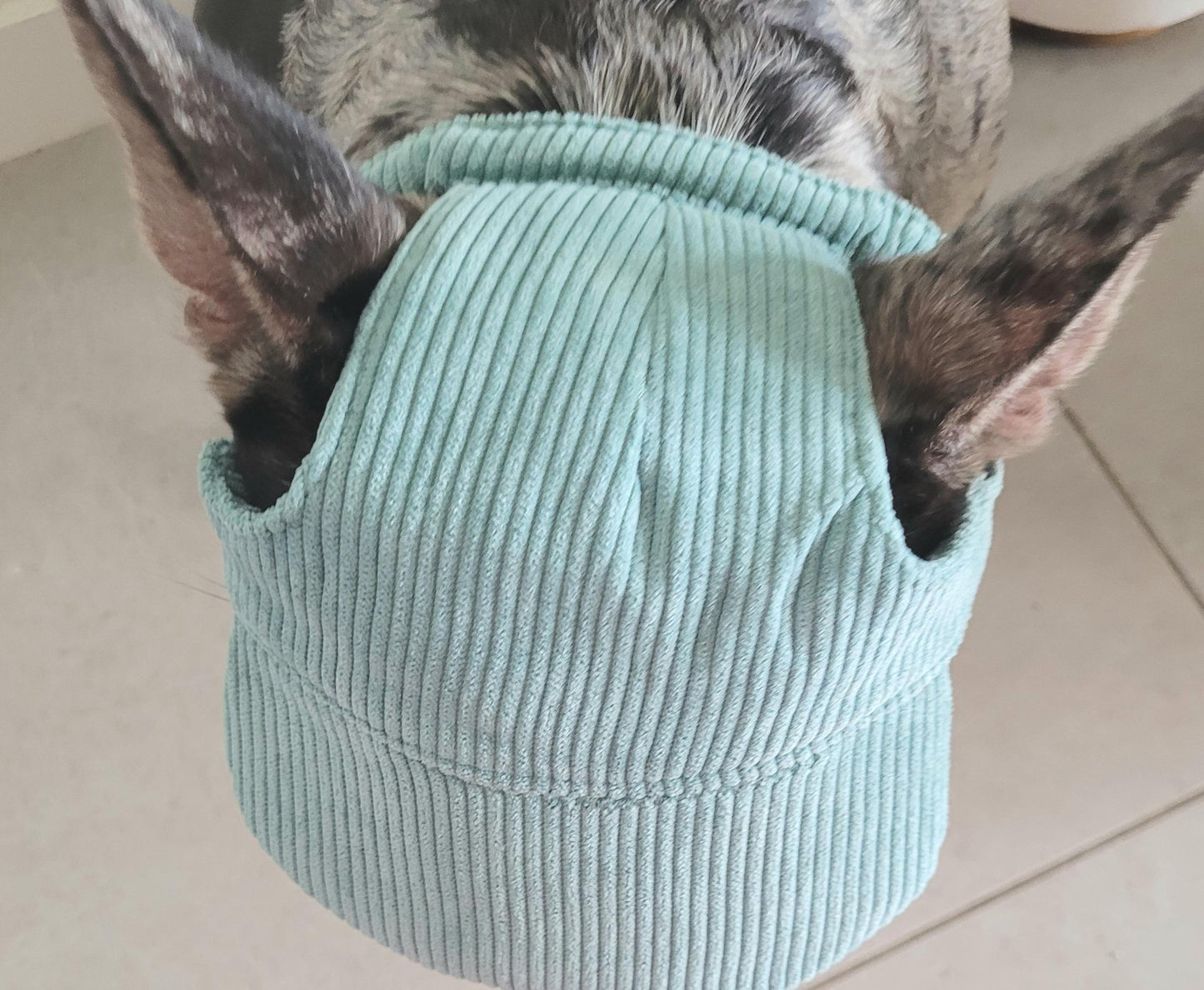 Doggie Cord Cap