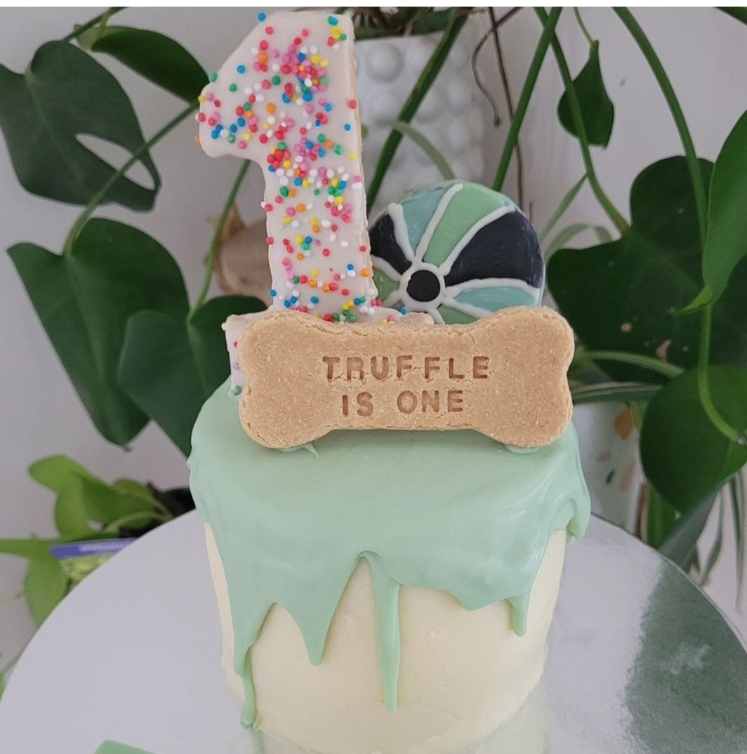 Doggie Birthday Cake